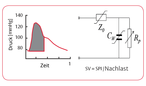 Berechnung des Herzzeitvolumens